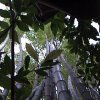 DSC00264