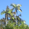 DSC00441