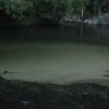 DSC00452