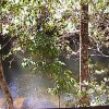 DSC00515
