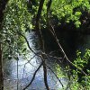 DSC00518