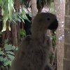 DSC00397