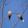 DSC00181