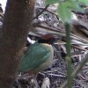 DSC00931